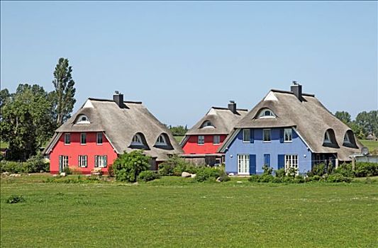 茅草屋顶,房子,德国