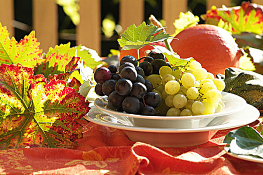 葡萄,品位,盘子,花园,桌子,氛围,亮光