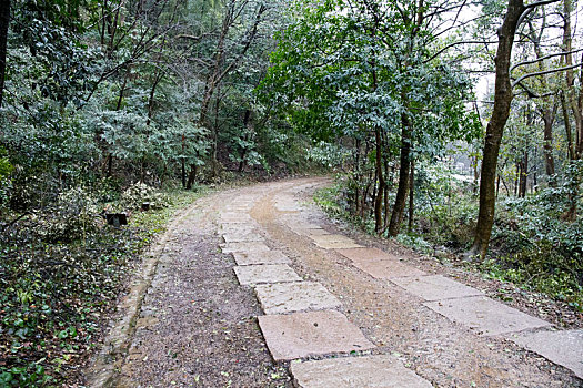 黄公望隐居地,山道