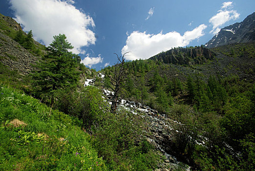 山,河,水流,峡谷,石头,岩石,陆地,靠近,漂亮,山景