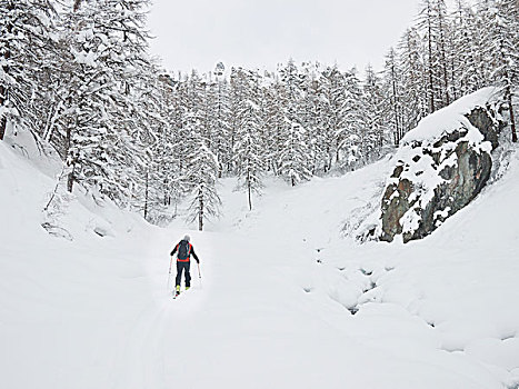 边远地区,滑雪,走,雪,山谷,格雷索,意大利,欧洲