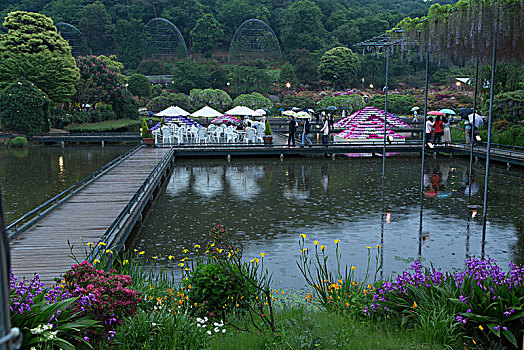 足利市紫藤花园