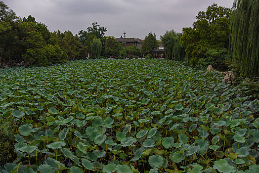 河北保定,古莲花池景区直隶图书馆