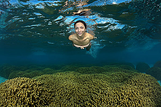 美女,漂浮,表面,水,上方,珊瑚礁,印度洋,马尔代夫,亚洲