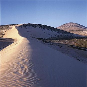 沙丘,沙子,海滩,富埃特文图拉岛,加纳利群岛,西班牙,欧洲