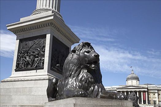 狮子,国家美术馆,特拉法尔加广场,伦敦,英格兰