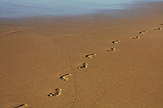 沙滩,脚印,富埃特文图拉岛