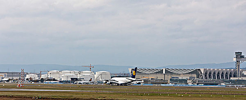 汉莎航空公司,空中客车,降落,法兰克福,机场,黑森州,德国,欧洲