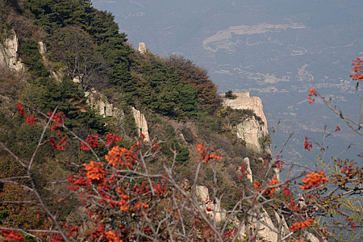 山东省泰安市泰山