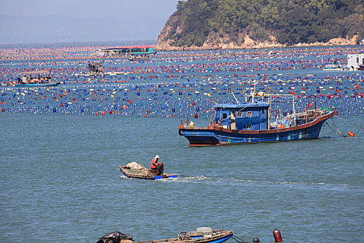 广东汕头,春季海洋养殖忙碌生产