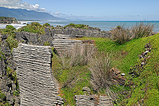 薄烤饼,石头,帕帕罗瓦国家公园,西海岸,南岛,新西兰,塔斯曼海