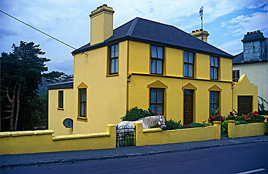 黄色,房子,爱尔兰