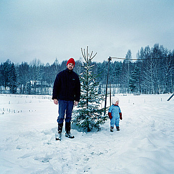 父亲,女儿,圣诞树,达拉那,瑞典