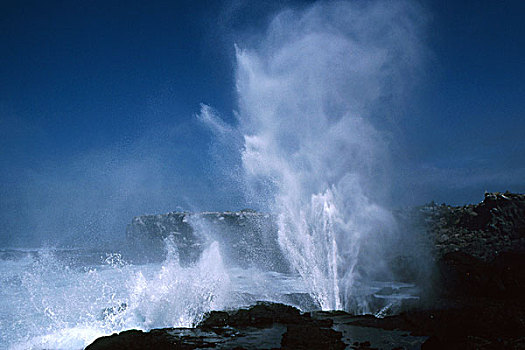 喷水孔,西班牙岛,加拉帕戈斯群岛,厄瓜多尔