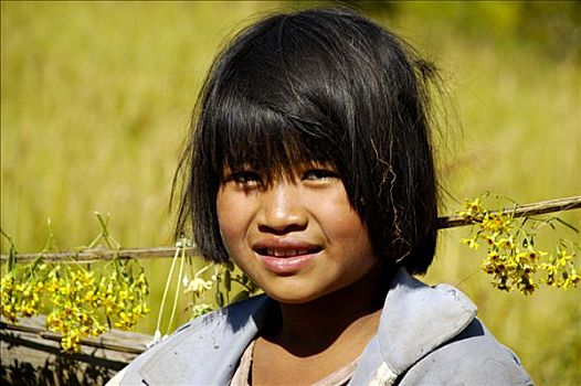 肖像,孩子,缅甸,女孩,微笑,掸邦