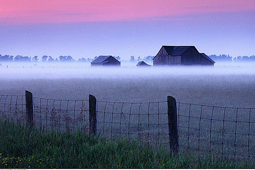 黎明,薄雾,布鲁斯半岛,安大略省,加拿大