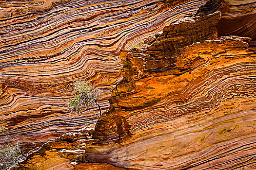 孤木,条纹,摇滚,摇晃,石头,图案,环,卡巴里国家公园,西澳大利亚州,澳大利亚