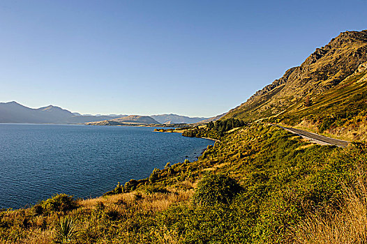 岸边,瓦卡蒂普湖,皇后镇,南岛,新西兰