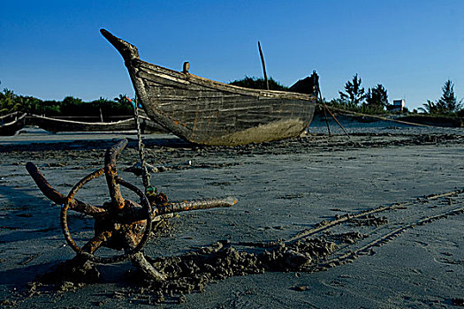 岛屿,只有,孟加拉,市场,二月,2008年