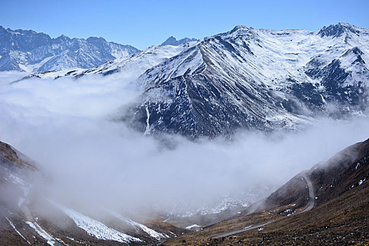 川西高原,雪山,旅游,徒步,巴朗山,云海