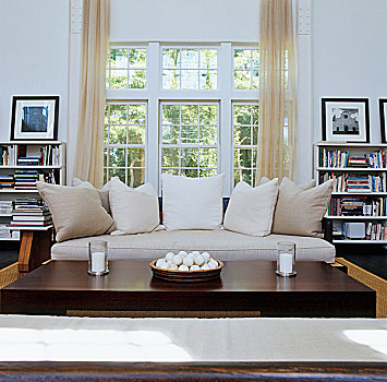 沙发,大,垫子,正面,大窗,客厅,书架