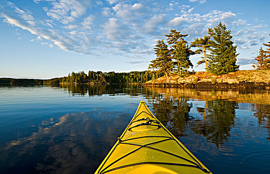 皮筏艇,湖,木,安大略省,加拿大