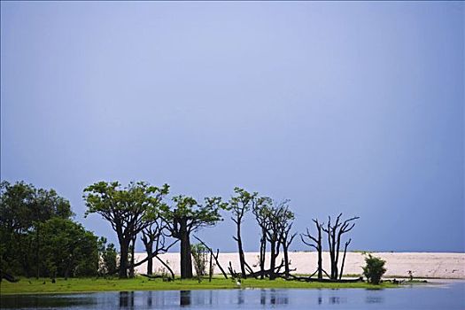 巴西,亚马逊河,塔帕若斯河,支流,半透明,聚会,积雨云,结束,干燥,季节