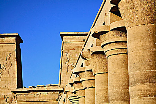 柱子,菲莱神庙,岛屿,尼罗河,靠近,阿斯旺,埃及