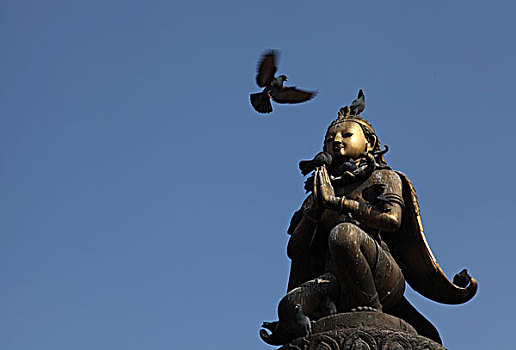 尼泊尔帕坦杜巴广场上空的鸽子