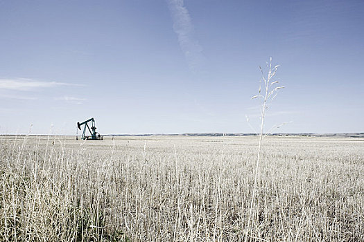 石油井架,草原,地点,艾伯塔省,加拿大