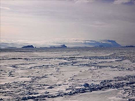 乘坐,破冰船,操纵,海冰,海岸,富兰克林,岛屿,南极