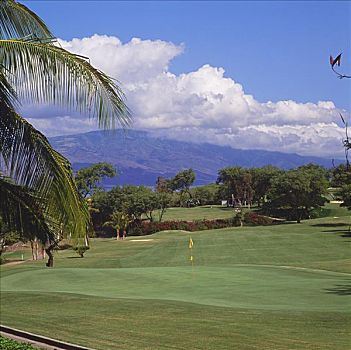 夏威夷,毛伊岛,胜地,高尔夫球场,蓝色,场地,棕榈树,山,高尔夫球道
