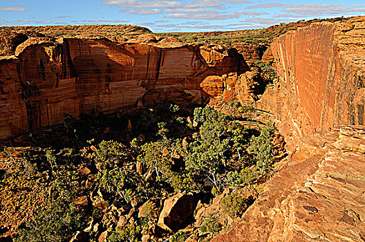 国王峡谷,国家公园,北领地州,澳大利亚