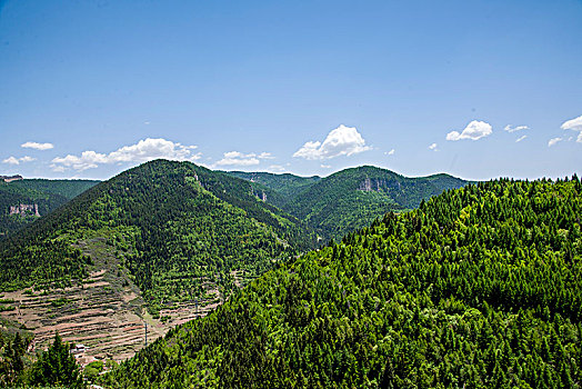 山西省宁武县芦芽山景区芦芽山悬崖古栈道下的森林