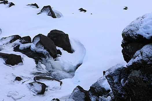 雪地