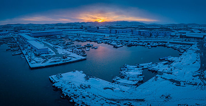 航拍山东威海俚岛镇烟墩角拍摄的冬天雪地天鹅风景