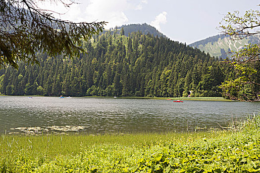 湖,阿尔卑斯山,山峦,巴伐利亚,德国,欧洲