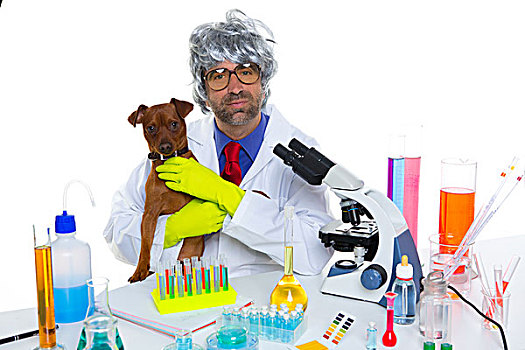 疯狂,呆痴,科学家,可笑,兽医,男人,狗,实验室