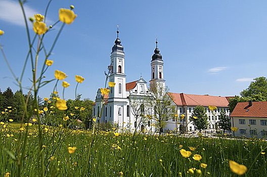 教堂,士瓦本,巴伐利亚,德国,欧洲
