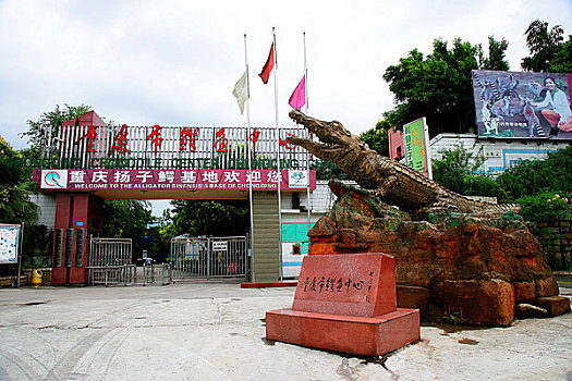 重庆市鳄鱼中心科普长廊中展示的青蛙化石