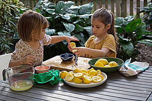 两个,孩子,姐妹,准备,柠檬汁,柠檬水,花园桌