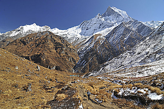 尼泊尔,安纳普尔纳峰,保护区,跋涉,露营,喜马拉雅山