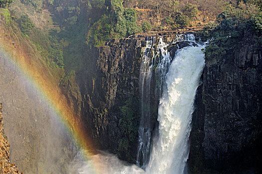 非洲,南非,津巴布韦,省,北方,瀑布,维多利亚,国家公园,莫西奥图尼亚