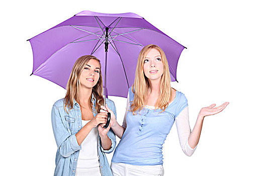 两个,年轻,金发,女人,伞,一个,仰视,拿着