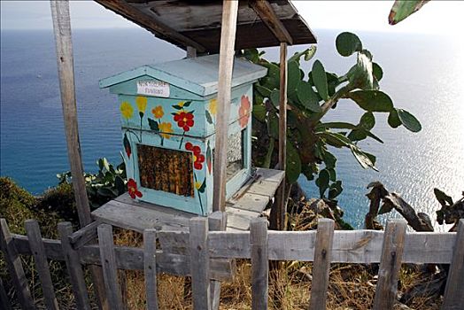 蜂巢,海景,沿岸,悬崖,卡拉布里亚,伊特鲁里亚海,意大利南部,意大利,欧洲