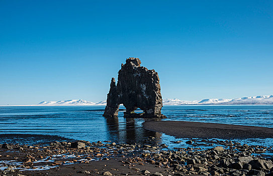 大象,石头,火山岩,海滩,自然,玄武岩,排列,区域,冰岛,欧洲