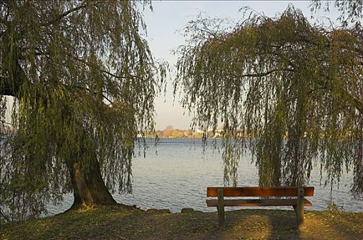 长椅,湖,汉堡市,德国
