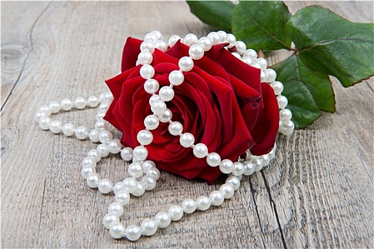 玫瑰,珍珠,项链,情人节