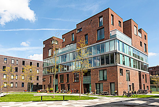 现代,荷兰,住房,现代建筑,公园