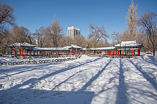 公园冬天风景